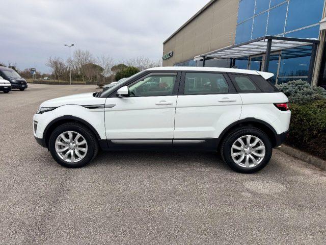 LAND ROVER Range Rover Evoque 2.0 TD4 150 CV 5P BUSINESS *TAGLIANDATO*
