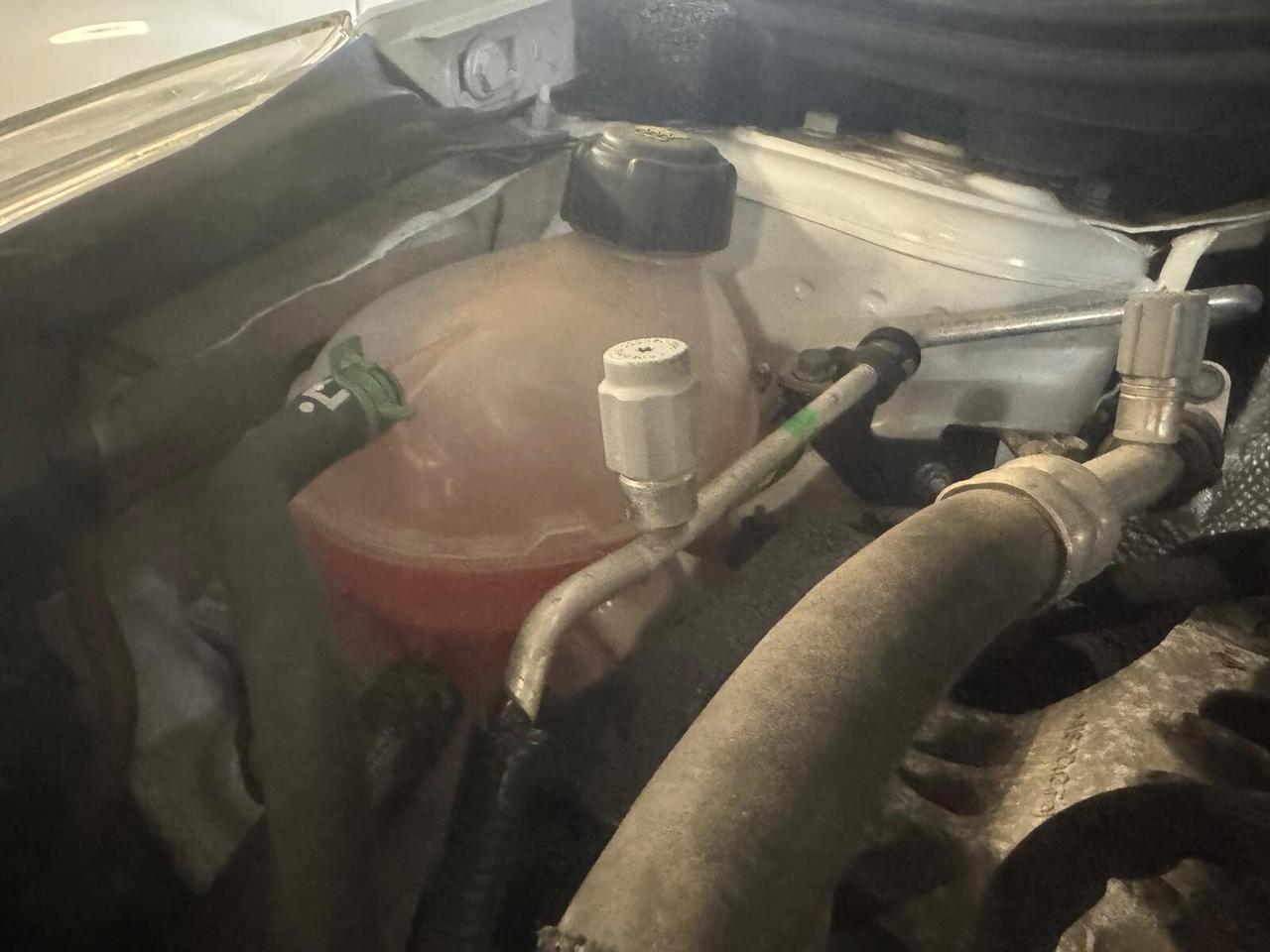 Renault Clio 1.5 dCi 8V 90CV Start&Stop 5 porte Van