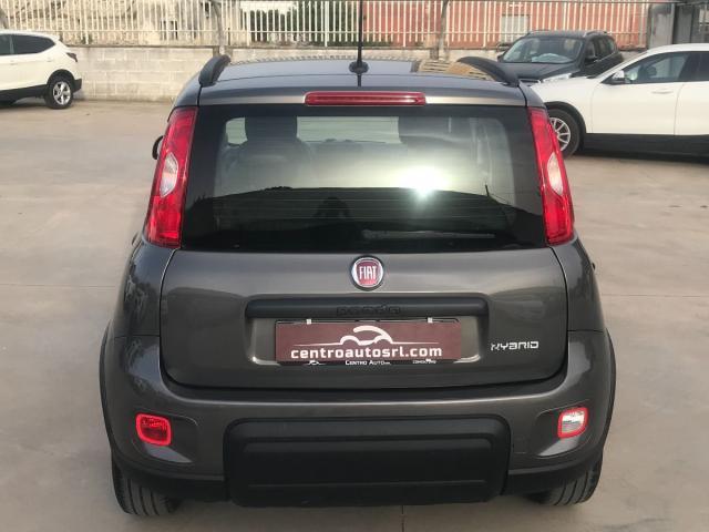 FIAT - Panda - 1.0 FireFly S&S Hybrid City Life