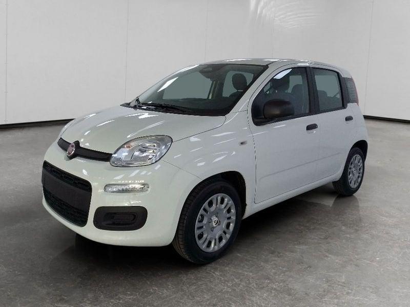 FIAT Pandina 1.0 firefly hybrid Icon s&s 70cv 5p.ti