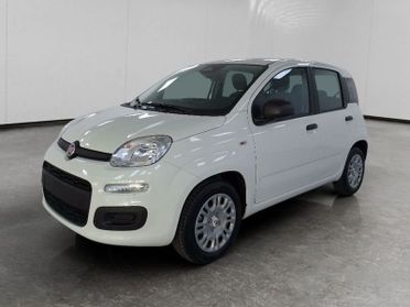 FIAT Pandina 1.0 firefly hybrid Icon s&s 70cv 5p.ti