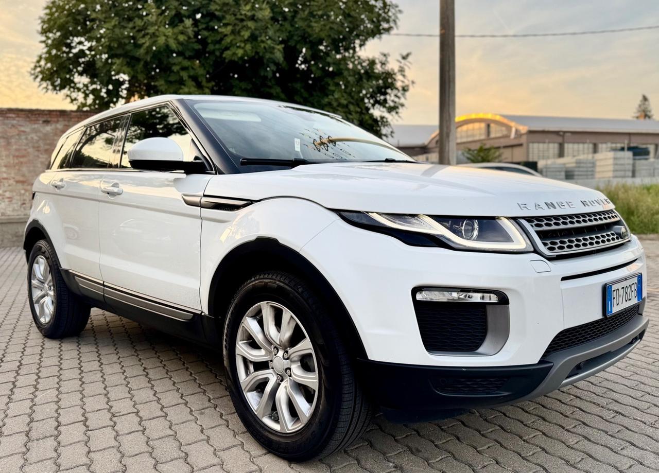 Land Rover Range Evoque 2.0 TD4 150 CV 5p. Pure