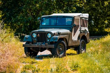 Jeep Willys M38 A1 MD