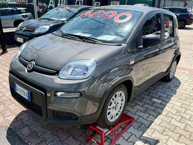 Fiat Panda Panda 1.0 firefly hybrid PRONTA CONSEGNA DISPONIBILI VARI COLORI
