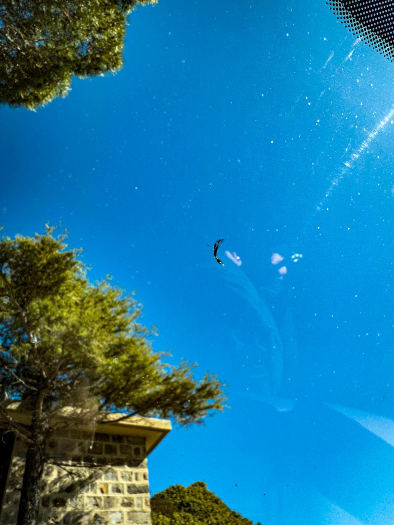 Fiat Doblo 1.3 MJT Cargo Maxi Business - 2020