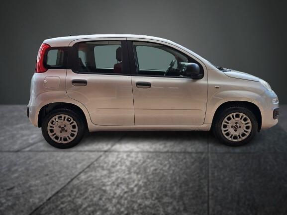 FIAT PANDA 1.2 69cv BUSINESS