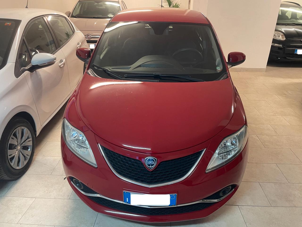 Lancia Y Ypsilon 1.2 Silver Tagliandata Distribuzione Neopatentati