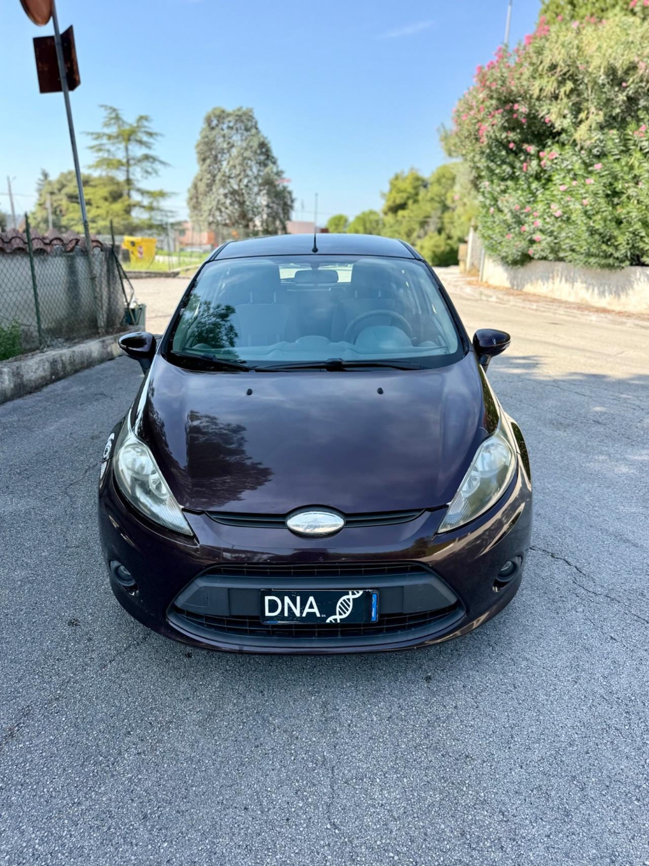 Ford Fiesta Diesel 1.4 TDCi Neopatentati