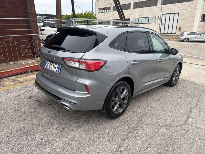Ford Kuga 1.5 EcoBlue 120 CV ST-Line