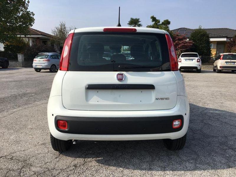 FIAT Panda 1.0 FireFly Hybrid Icon PROMOZIONE!! PRONTA CONSEGNA