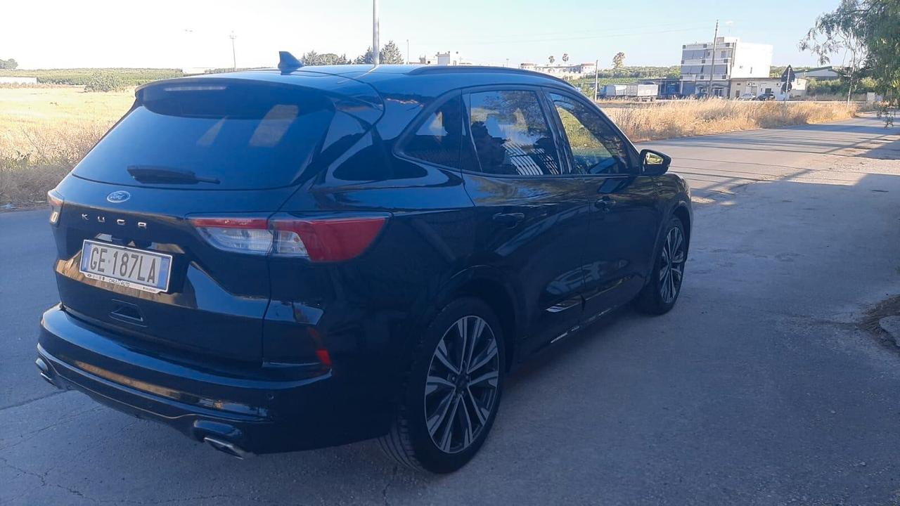 Ford Kuga 1.5 EcoBlue 120 CV aut. 2WD ST-Line X