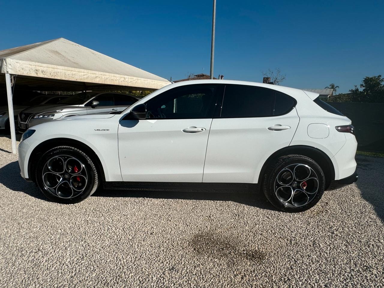 Alfa Romeo Stelvio 2.2 Turbodiesel 210 CV AT8 Q4 Veloce