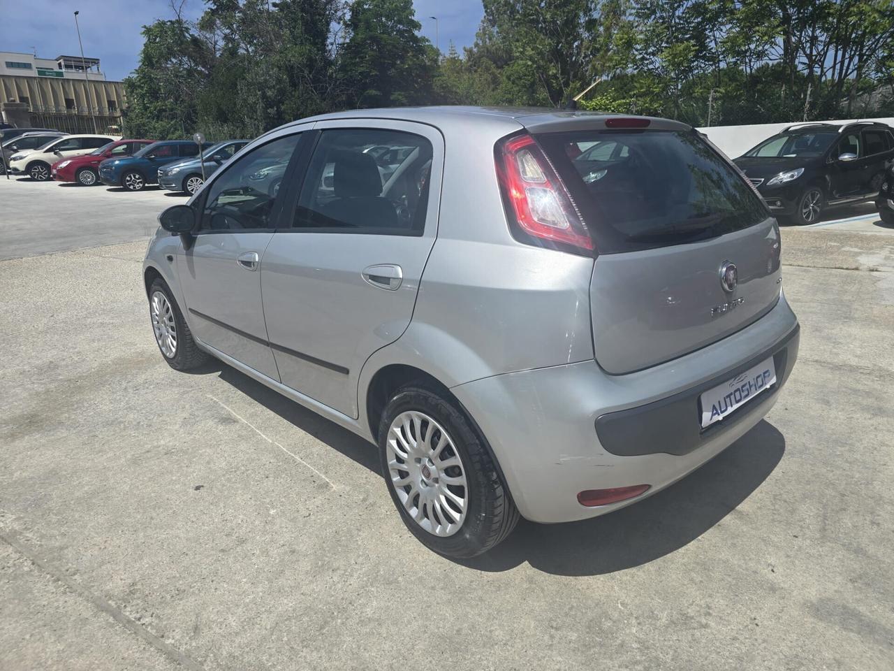 Fiat Punto Evo Punto Evo 1.2 5 porte Active