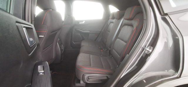 FORD Kuga 2.0 EcoBlue 120 CV aut. AWD ST-Line