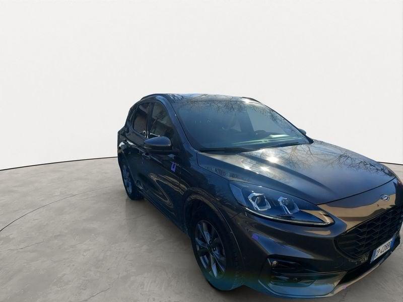 Ford Kuga Kuga 2.0 EcoBlue 120 CV aut. 2WD ST-Line