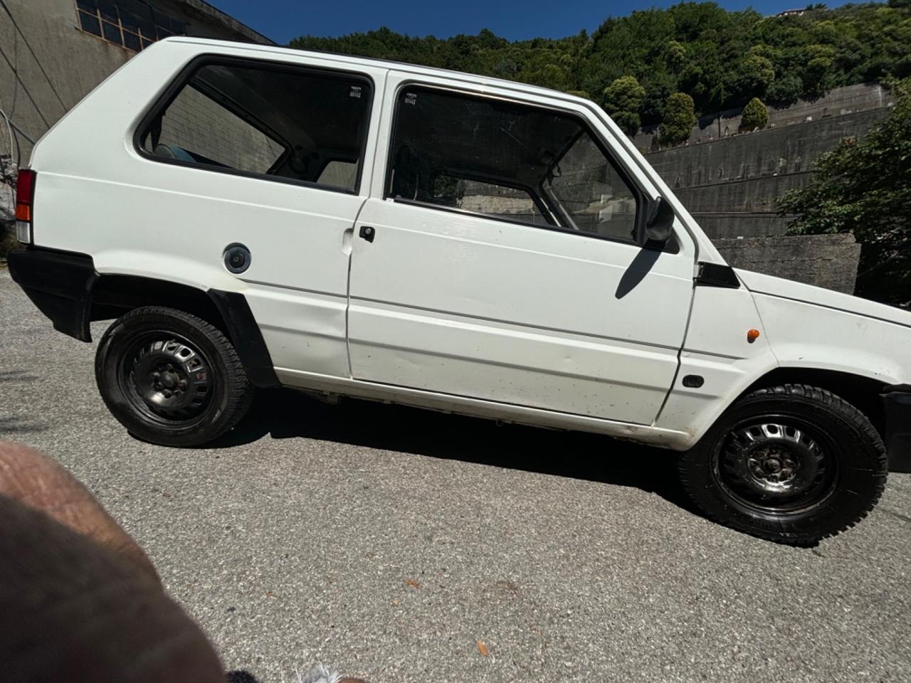 Fiat Panda 900 i.e. cat Young