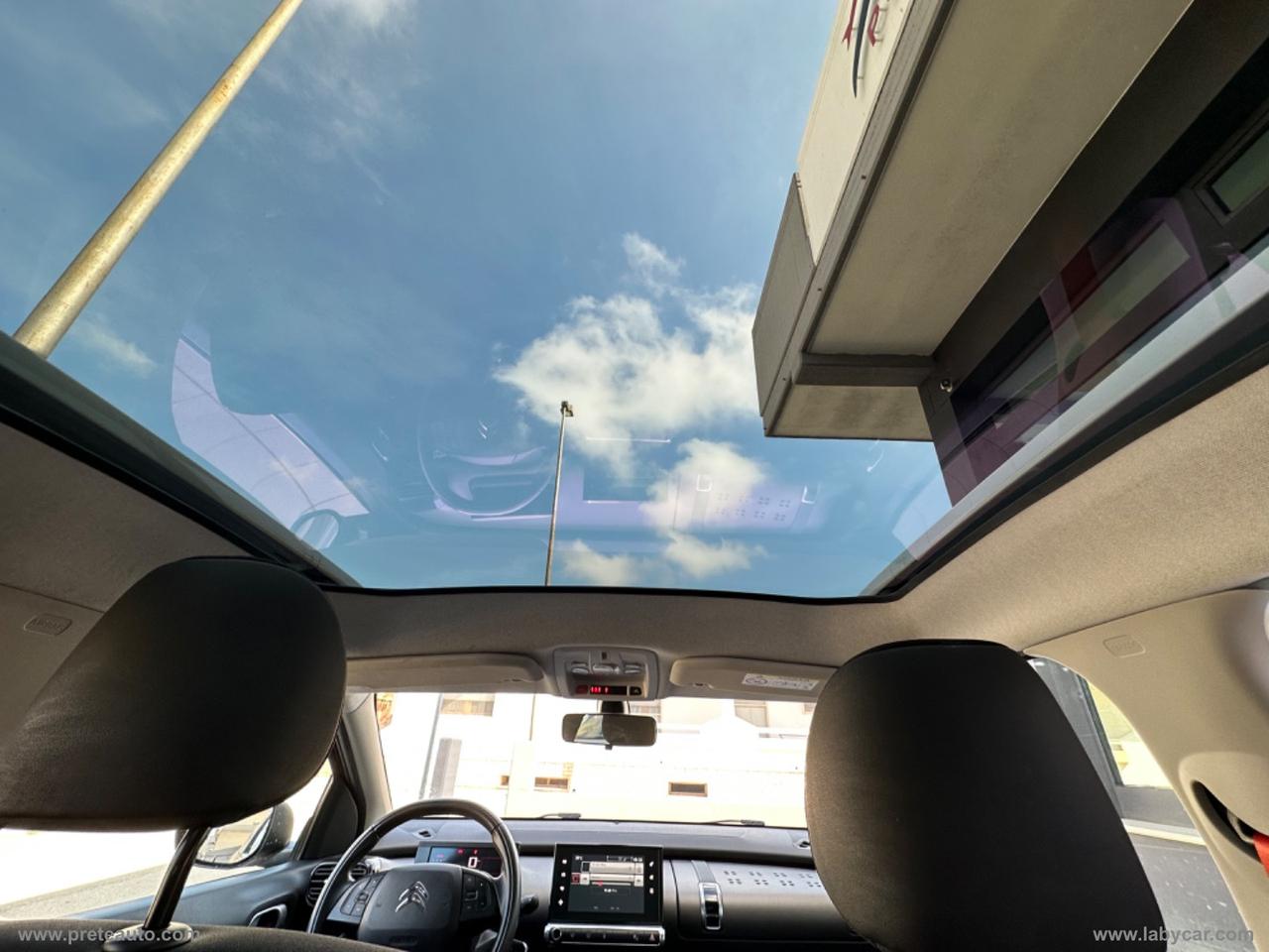 CITROEN C4 Cactus BlueHDi 100 Rip Curl