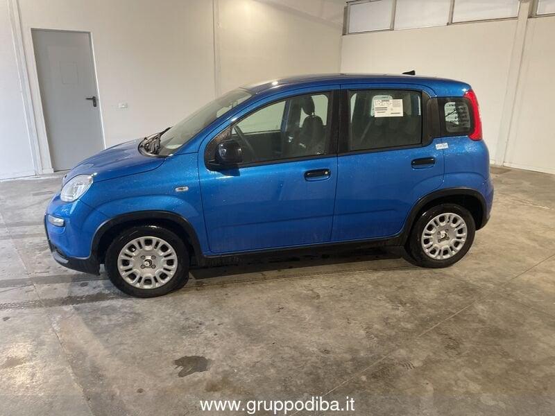 FIAT Panda Serie 7 1.0 70cv HybridPanda