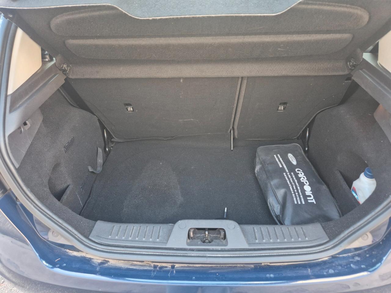 Ford Fiesta 1.5 TDCi 75CV 5 porte Black & White Edition