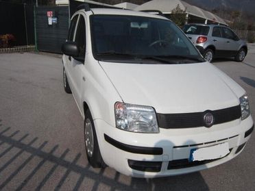 Fiat Panda 1.2 Dynamic NEOPATENTATI