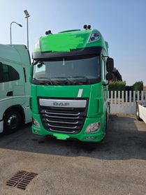 DAF 460 Automatico Con Retarder Tagliandato Revisionato