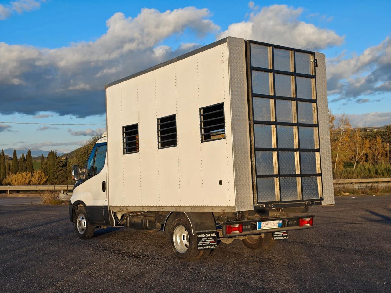 IVECO DAILY 35C13 2.3 ALLESTIMENTO TRASPORTO ANIMALI