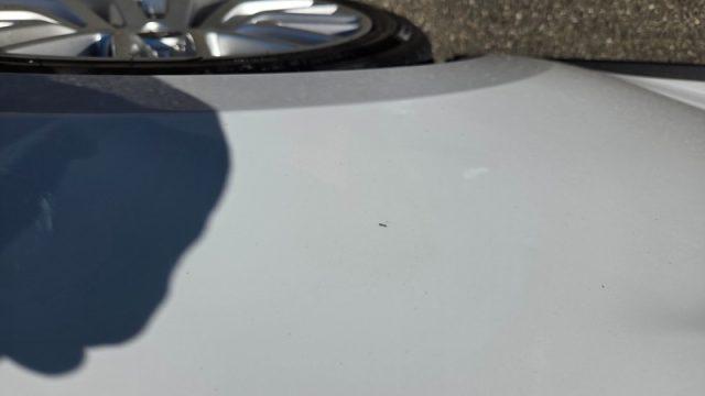 FORD Mustang Convertible 2.3 EcoBoost aut. PERMUTE