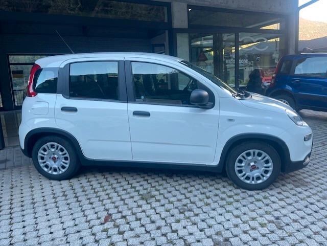Fiat Panda 1.0 FireFly S&S Hybrid 2024