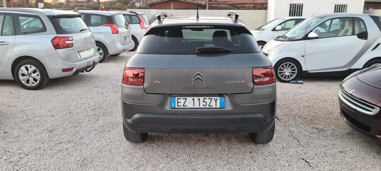 Citroen C4 Cactus PureTech 110 S&S Shine KIT DISTRIBUZIONE SOSTITUITA GARANZIA 12 MESI