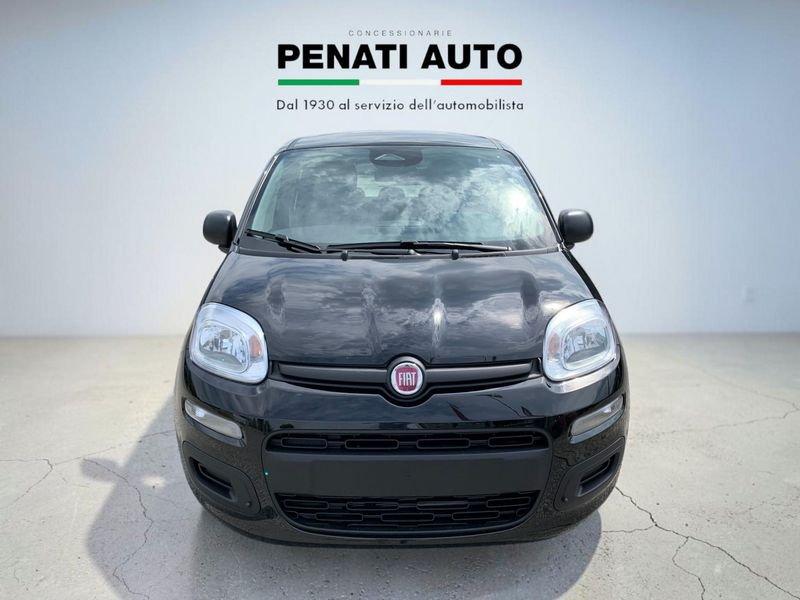 FIAT Pandina 1.0 FireFly 65cv S&S 6m Hybrid Icon