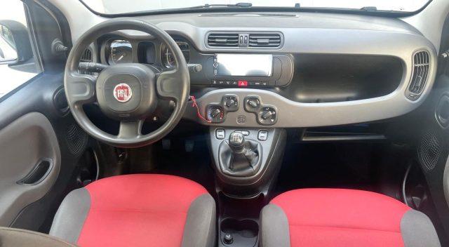 FIAT Panda 1.2 BENZ 69 CV Lounge ADATTA A NEOPATENTATI