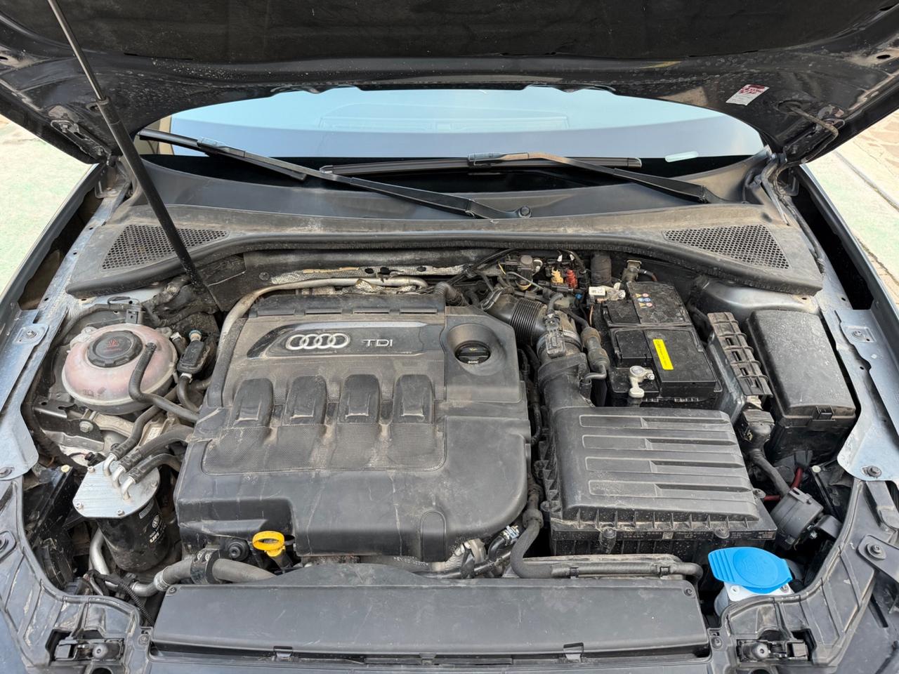 Audi A3 Sportback 1.6 TDI Ambition - GARANZIA