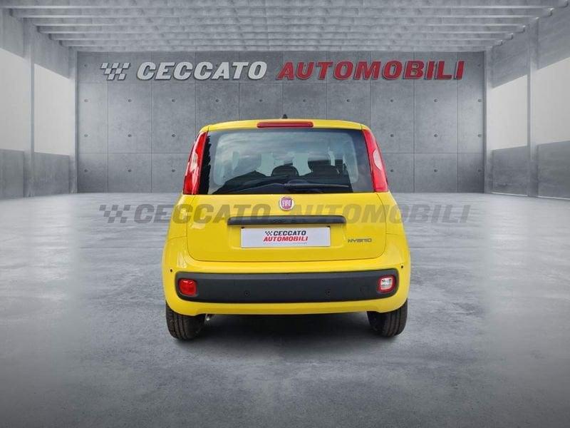 FIAT Panda Panda 1.0 70cv Hybrid Icon