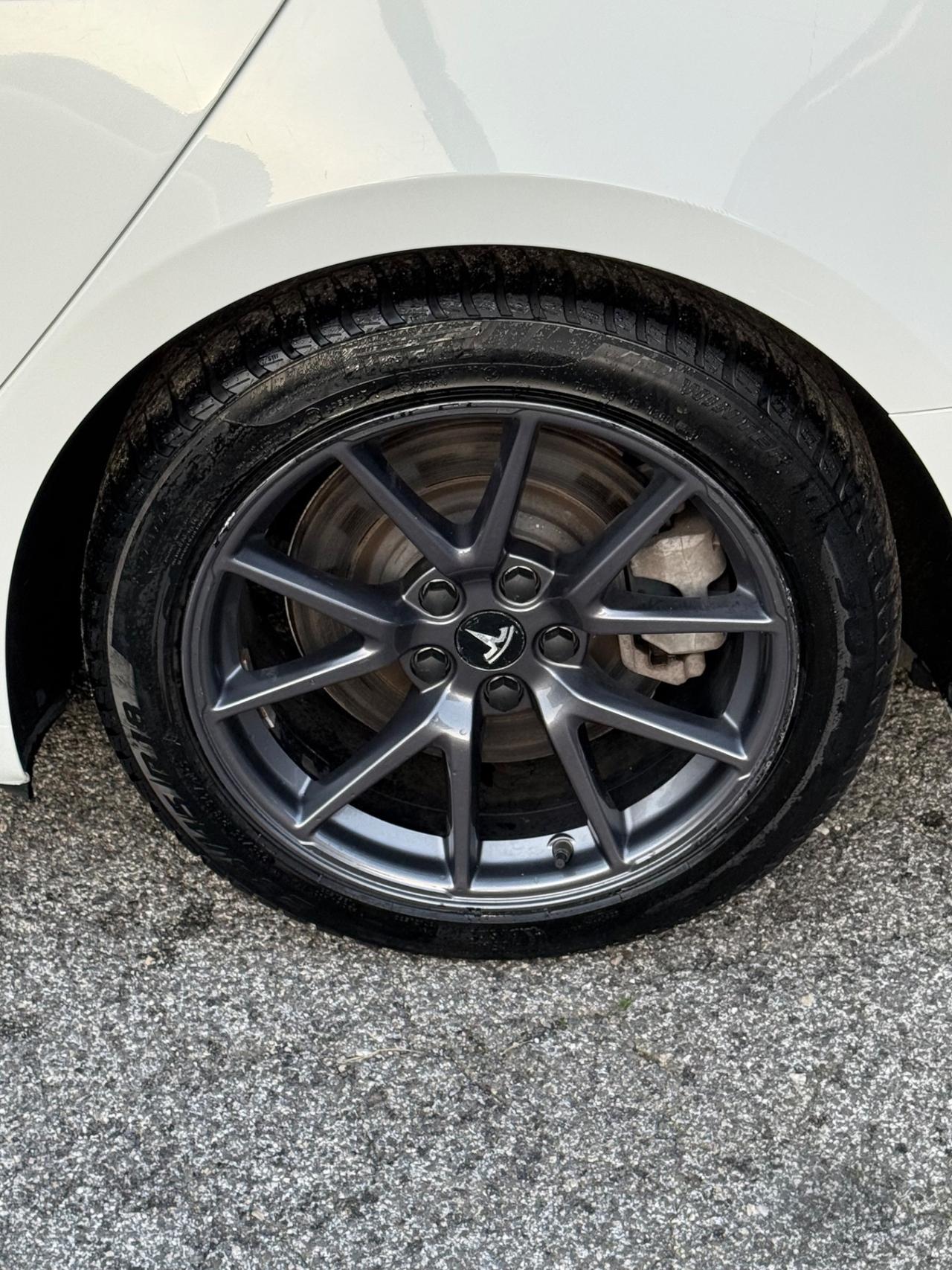 Model 3 Long Range Dual Motor AWD-IVA ESPOSTA-