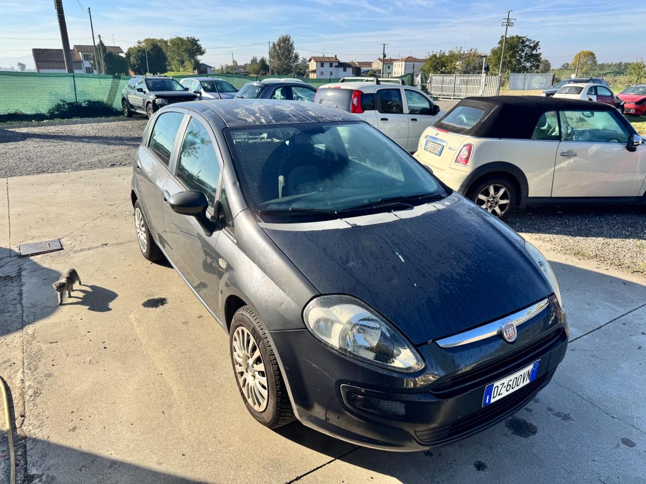 Fiat Punto Evo 1.2 5 porte Dynamic