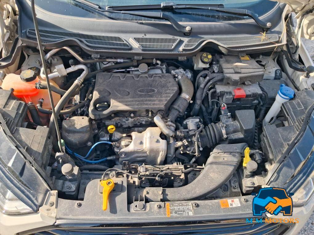 Ford EcoSport 1.5 ecoblue ST-Line Black Edition s&s 95cv my20.25