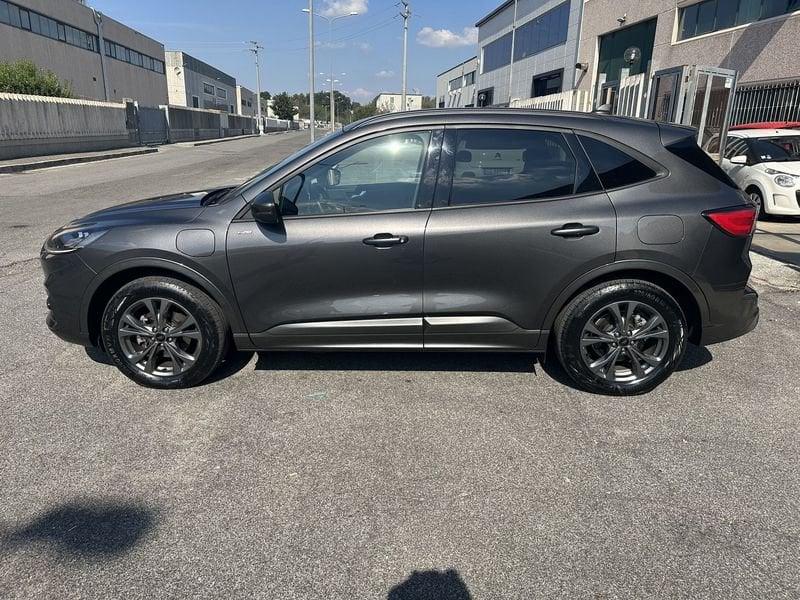 Ford Kuga Kuga 2.5 phev ST-Line X 2wd 225cv cvt