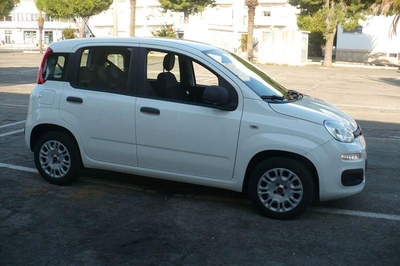 FIAT Panda Panda 1.2 Easy