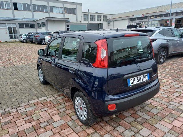 FIAT Panda 3ª serie 1.0 FireFly S&S Hybrid