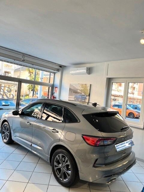 Ford Kuga 1.5 EcoBlue 120 CV 2WD ST-Line