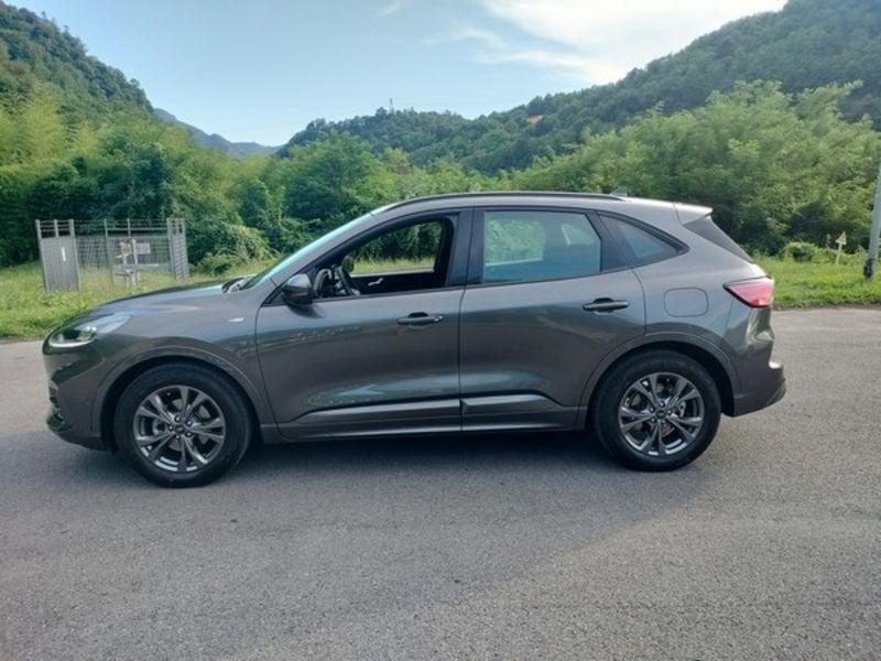 Ford Kuga Kuga 1.5 EcoBlue 120 CV 2WD ST-Line