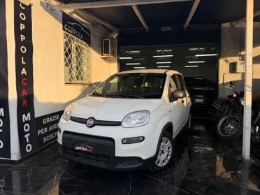 Fiat Panda GPL casa madre