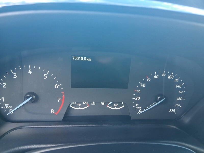 Ford Fiesta 1.0 Ecoboost Hybrid 125 CV 5 porte Titanium