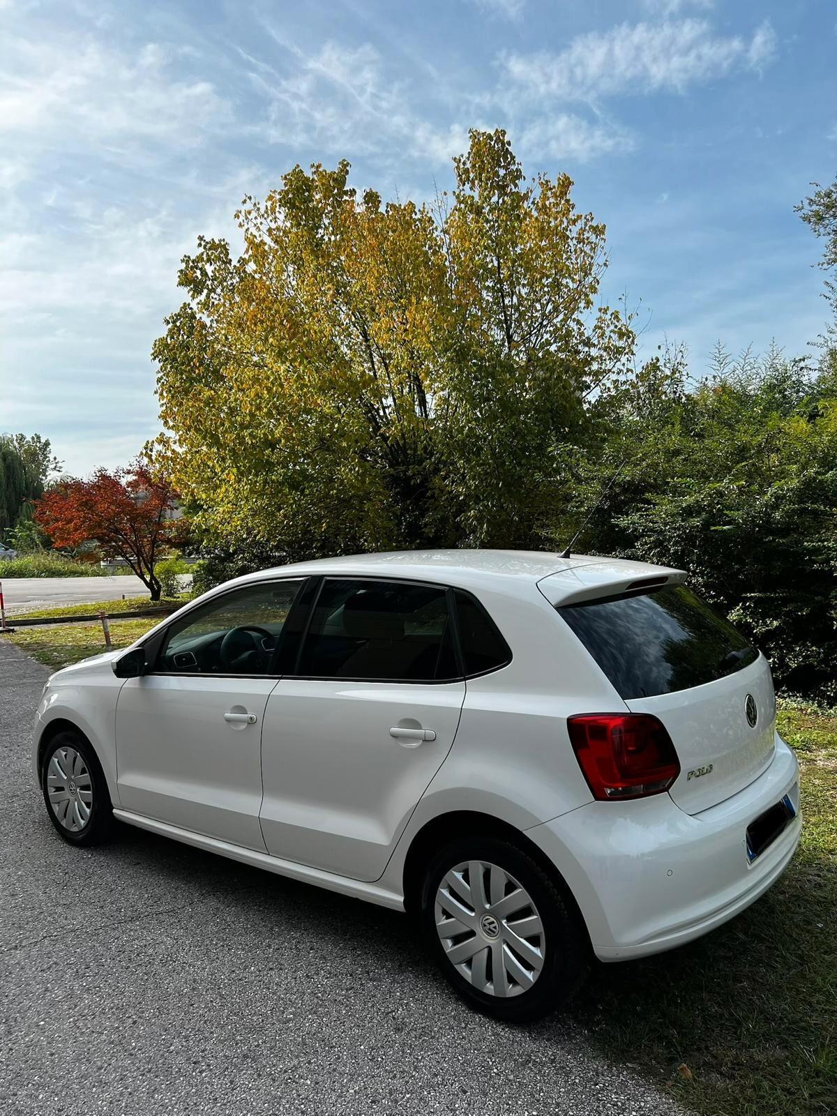 Volkswagen Polo 1.2 70 CV 5p. Comfortline