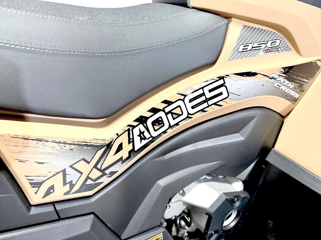 AODES PATHCROSS 850 T3 Targa gialla