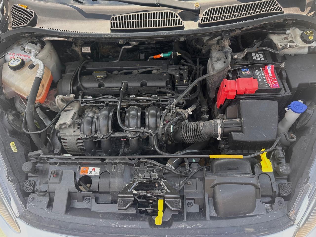 Ford Fiesta 1.2 Benz 60CV 5p. NEOPATENTATI 2013