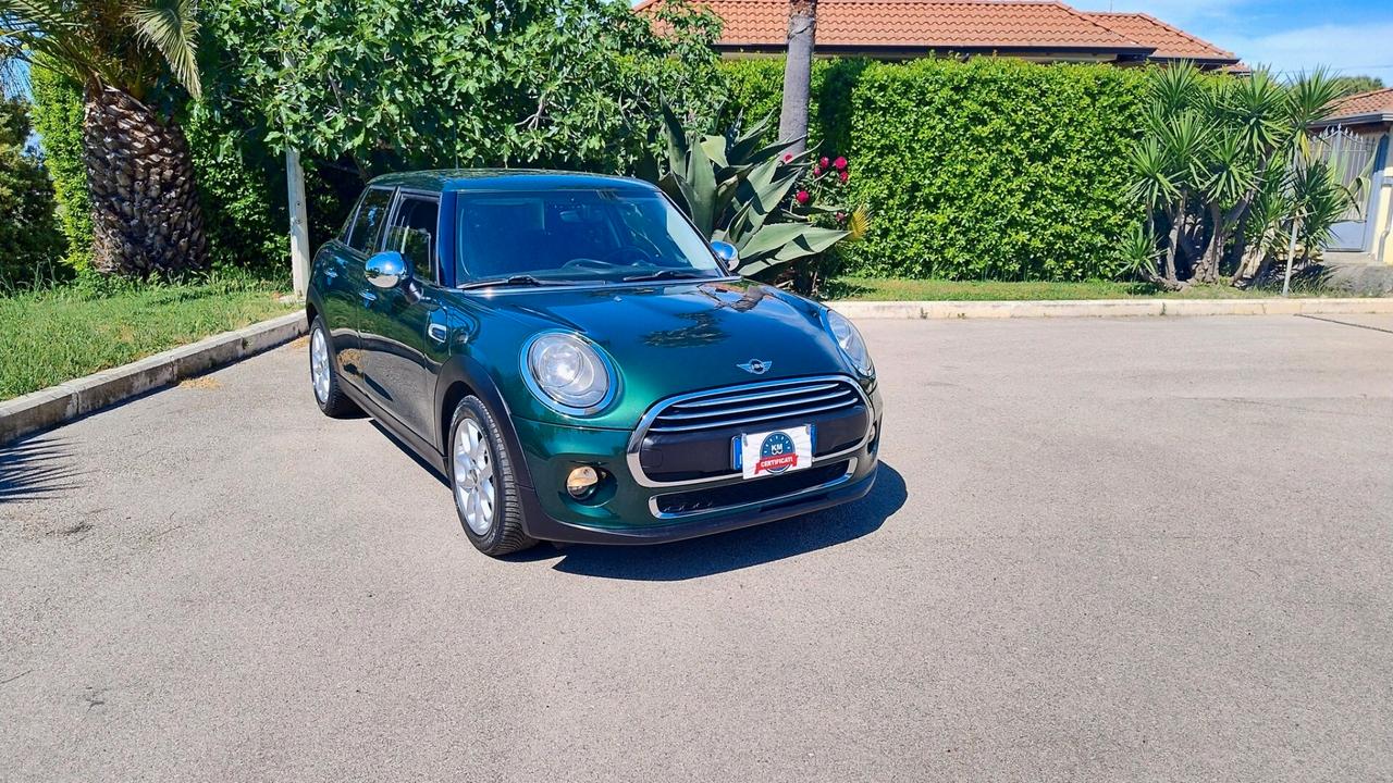 Mini Mini 1.5 One D