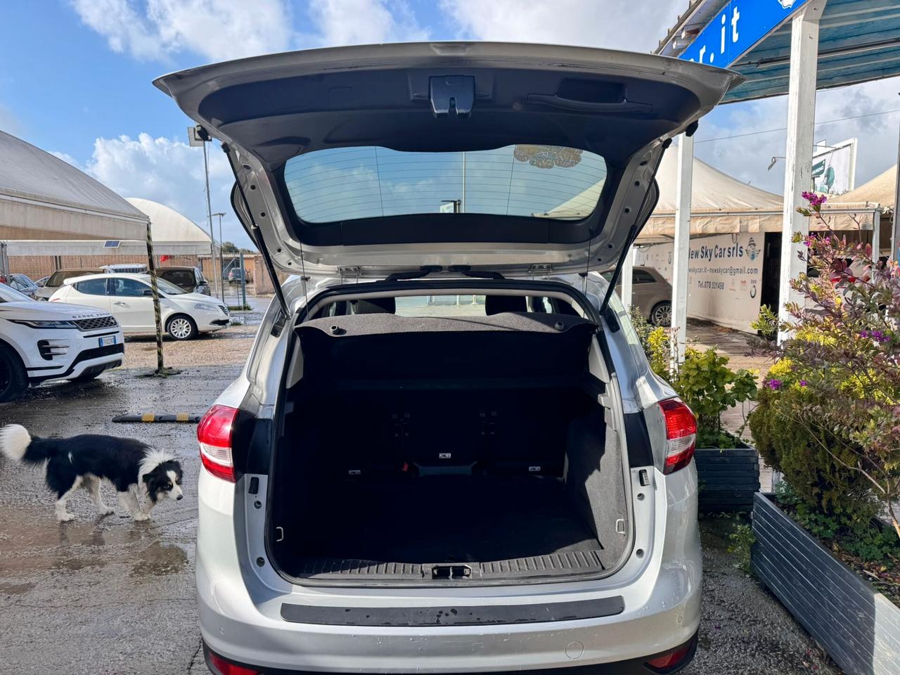 Ford C-Max 1.5 TDCi 120CV Start&Stop Titanium