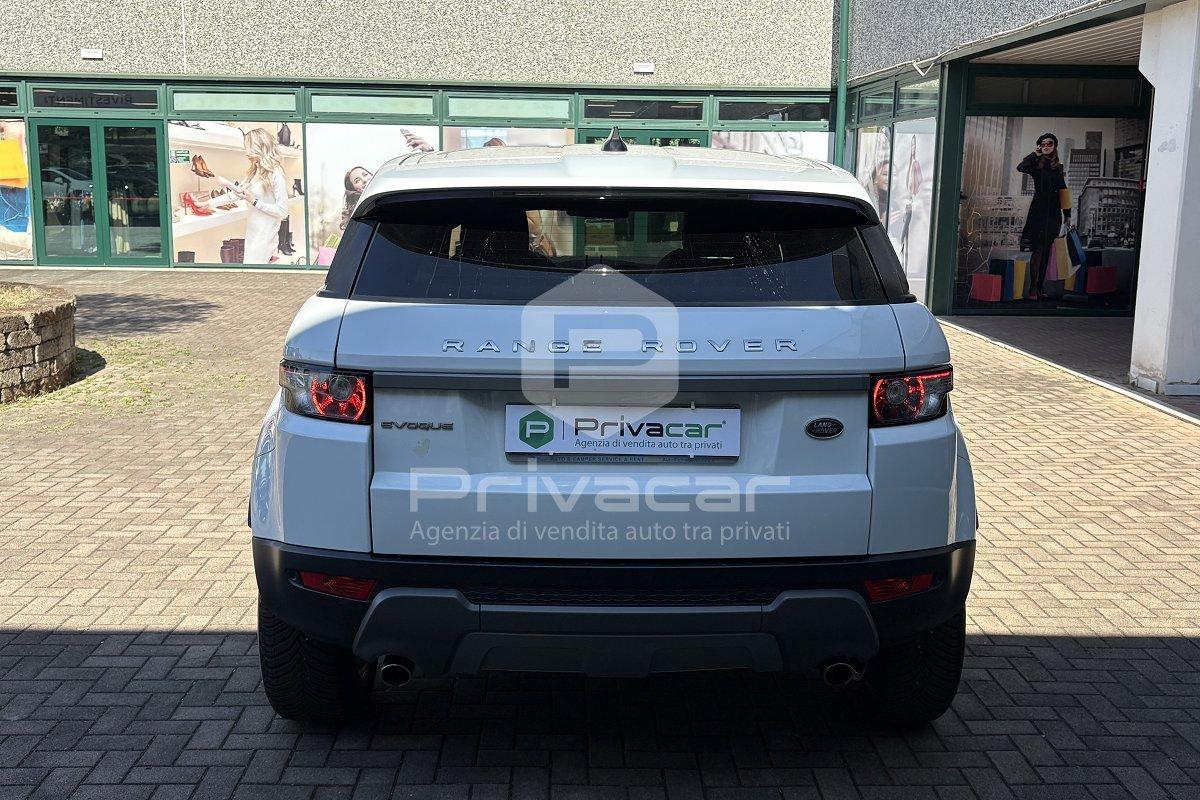 LAND ROVER Range Rover Evoque 2.0 TD4 150 CV 5p. Business Edition Pure