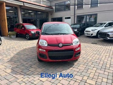 FIAT Pandina PROMO FINANZIAM 1.0 FireFly 65 CV Hybrid Pop KM 0